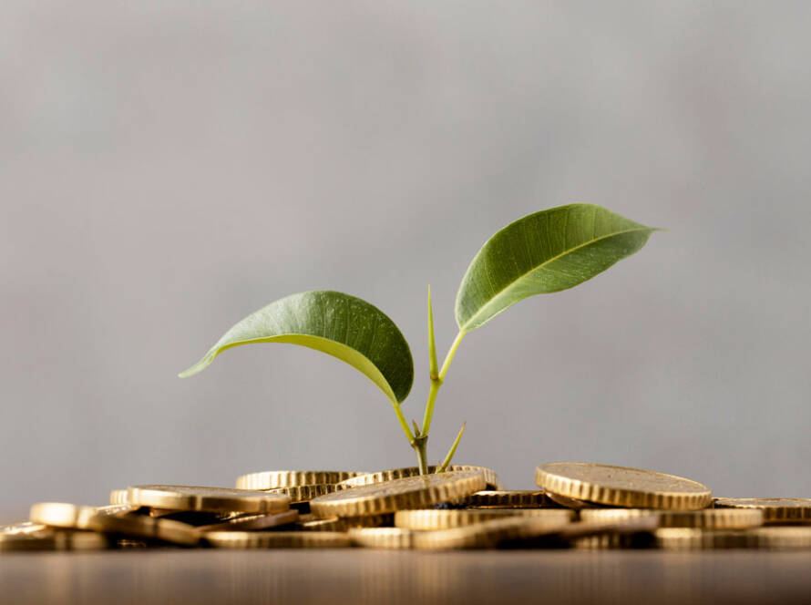 El Cabildo de La Palma destina 400.000 euros a ayudas para impulsar nuevos proyectos empresariales